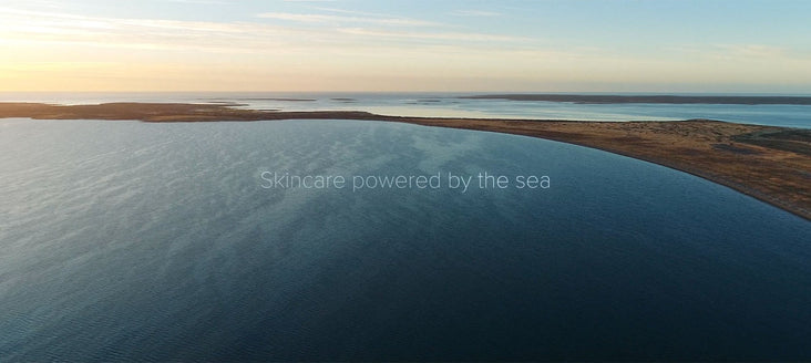 Loading Video of OSEA employees harvesting seaweed sustainably.