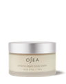 Undaria Algae™ Body Butter