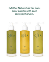 Undaria Algae™ Body Oil